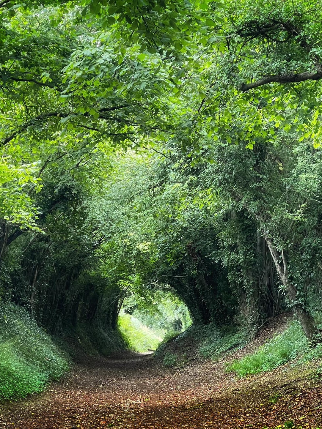 There is light at the end of the tunnel There is light at the end of the tunnel